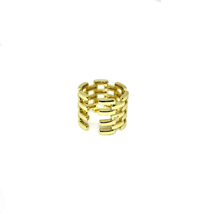 Anillo Reja