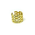 Anillo Reja